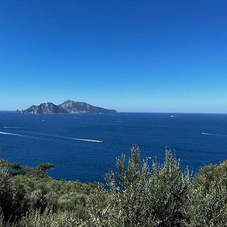 Apartment Don Luigino - Capri View By Interhome Massa Lubrense Exterior photo